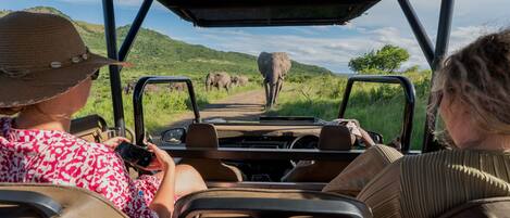 Intérieur d’un véhicule de safari avec deux passagers, un volant et un tableau de bord.