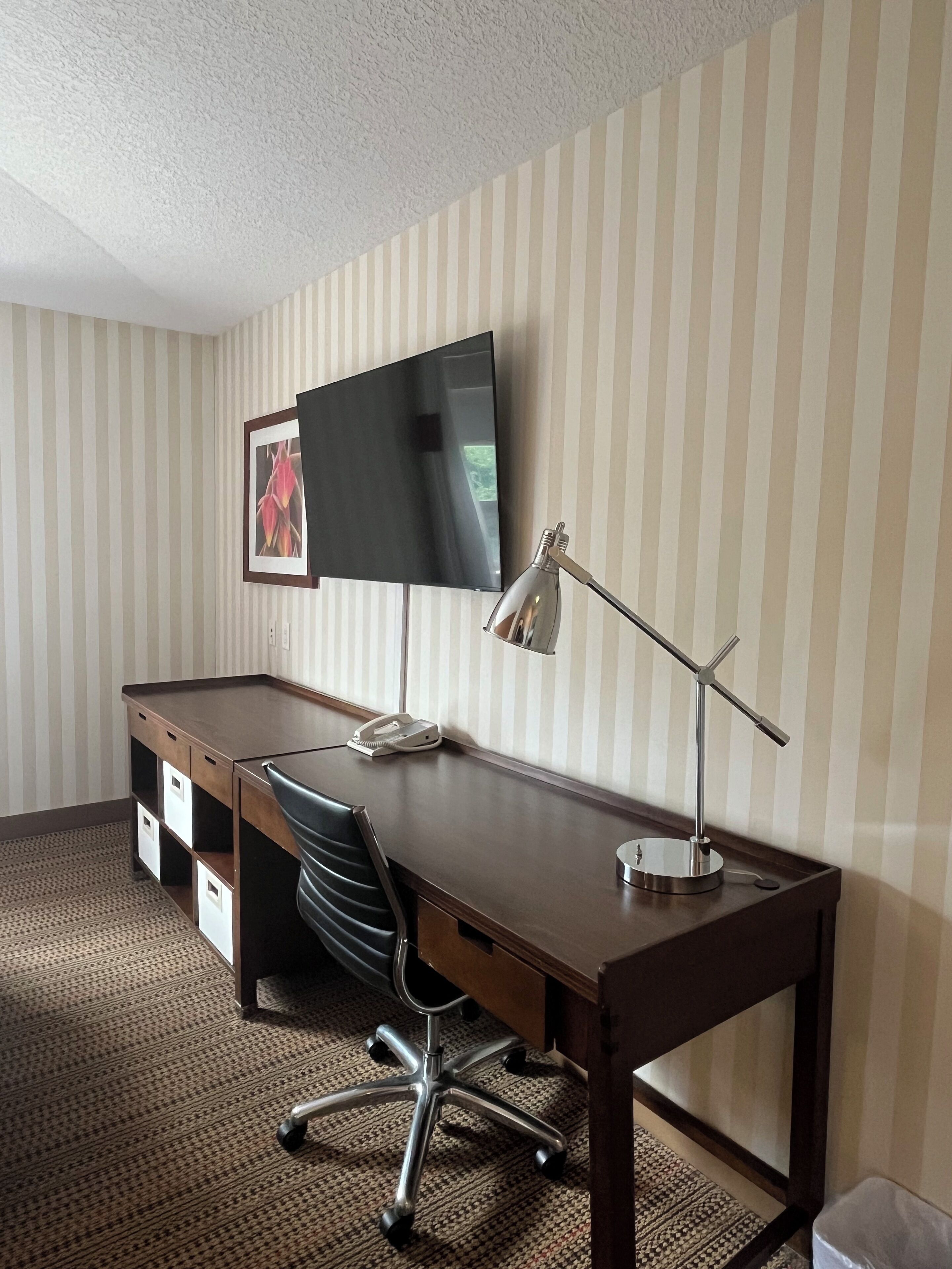 premium room, 1 king bed | living area | 42-inch smart tv with cable channels