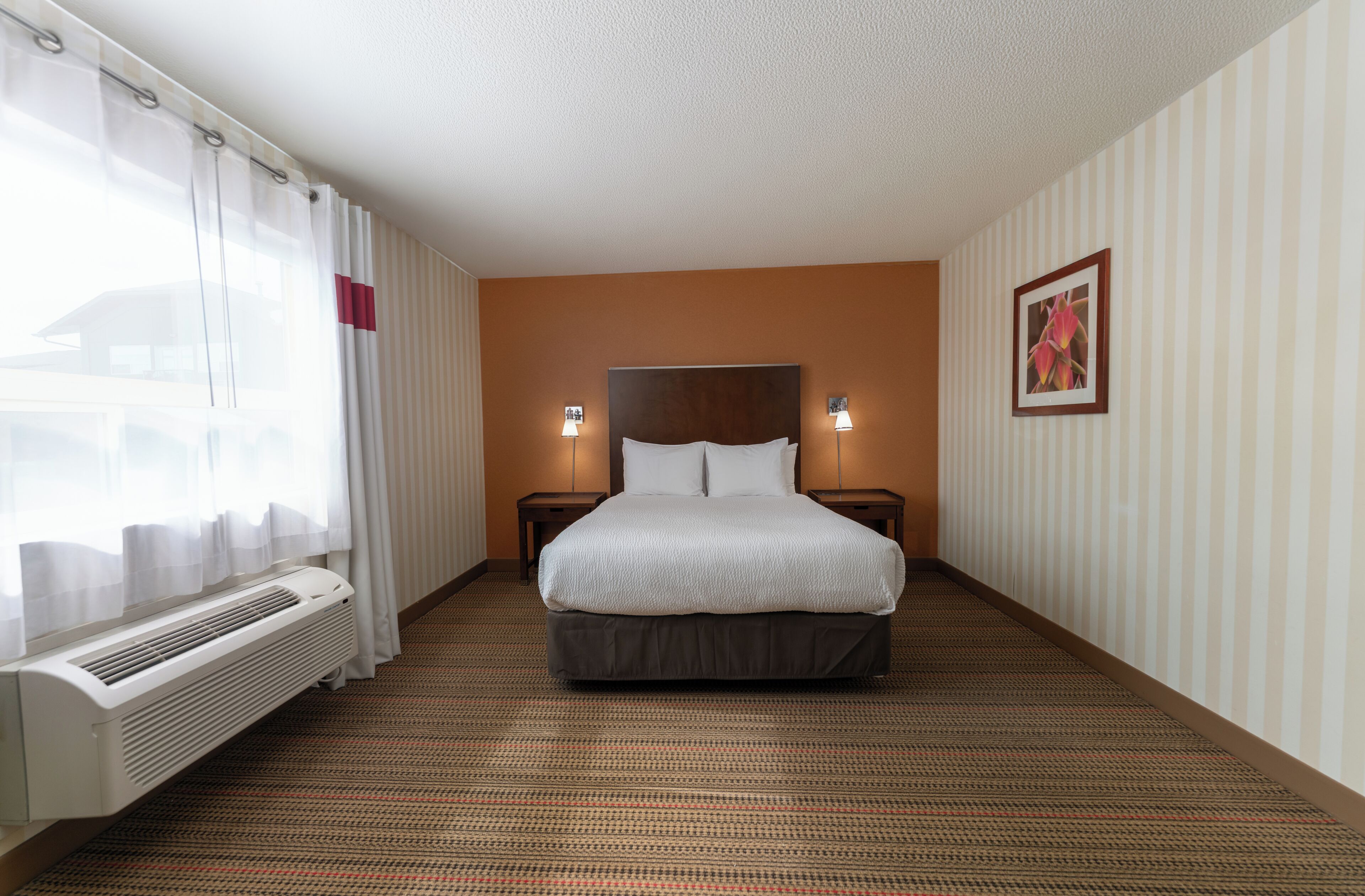 Standard Suite, 1 Queen Bed with Sofa bed