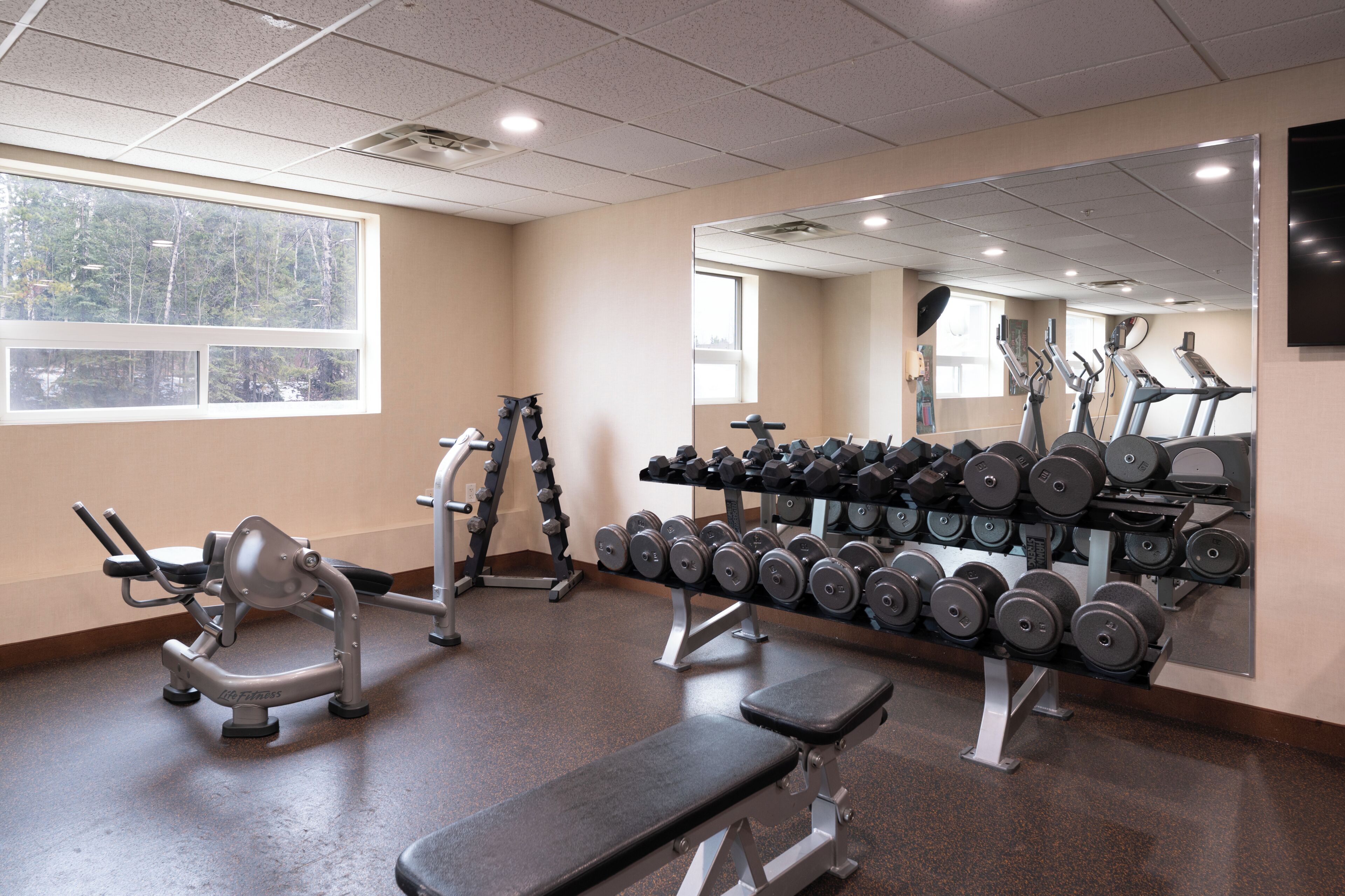 A gym with exercise equipment, a bench, and a rack of dumbbells.