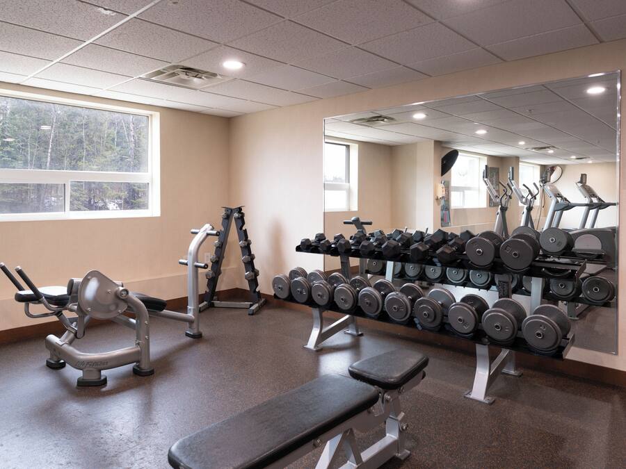 A gym with exercise equipment, a bench, and a rack of dumbbells.