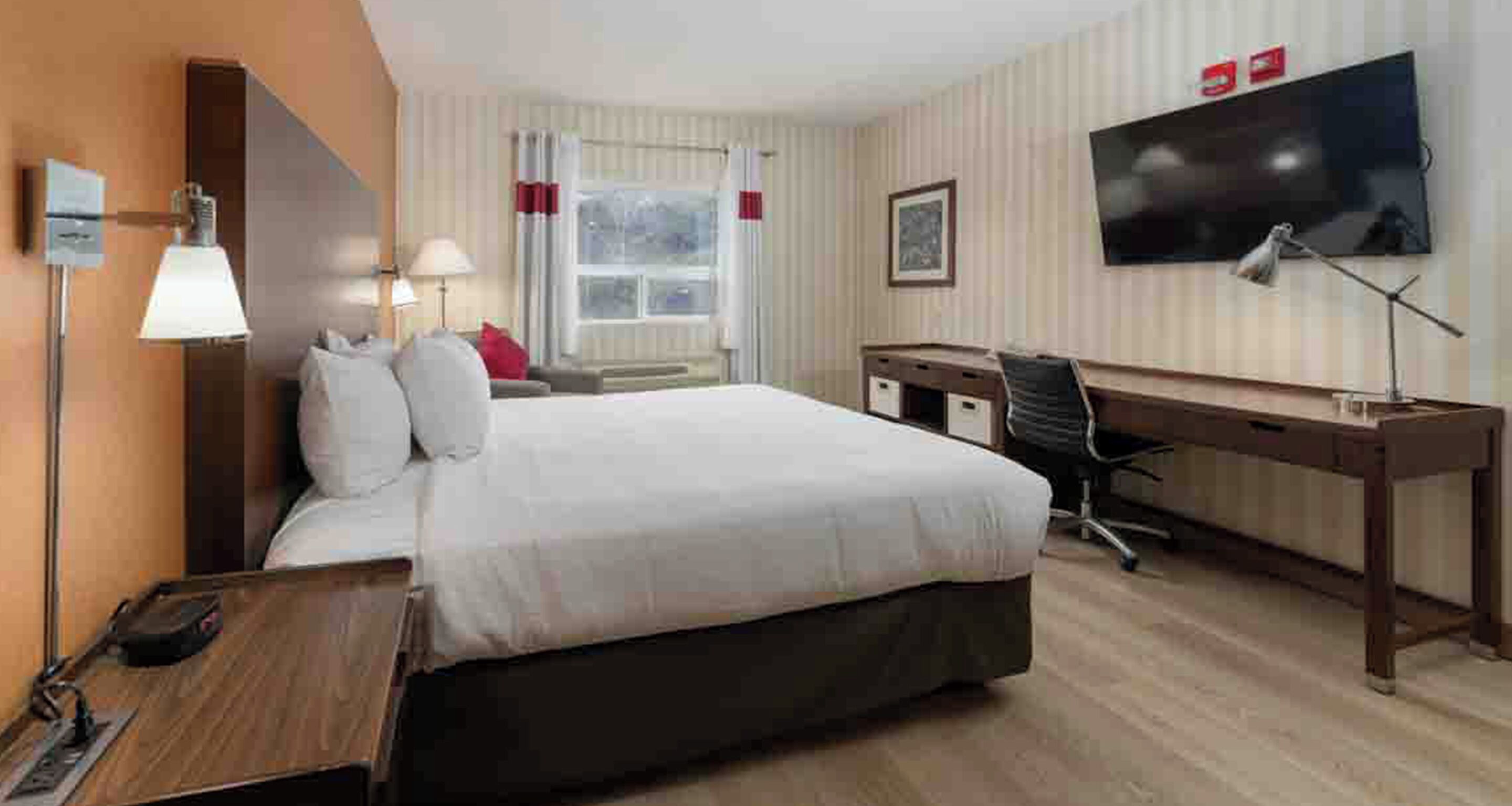 Standard Room, 1 King Bed, Accessible