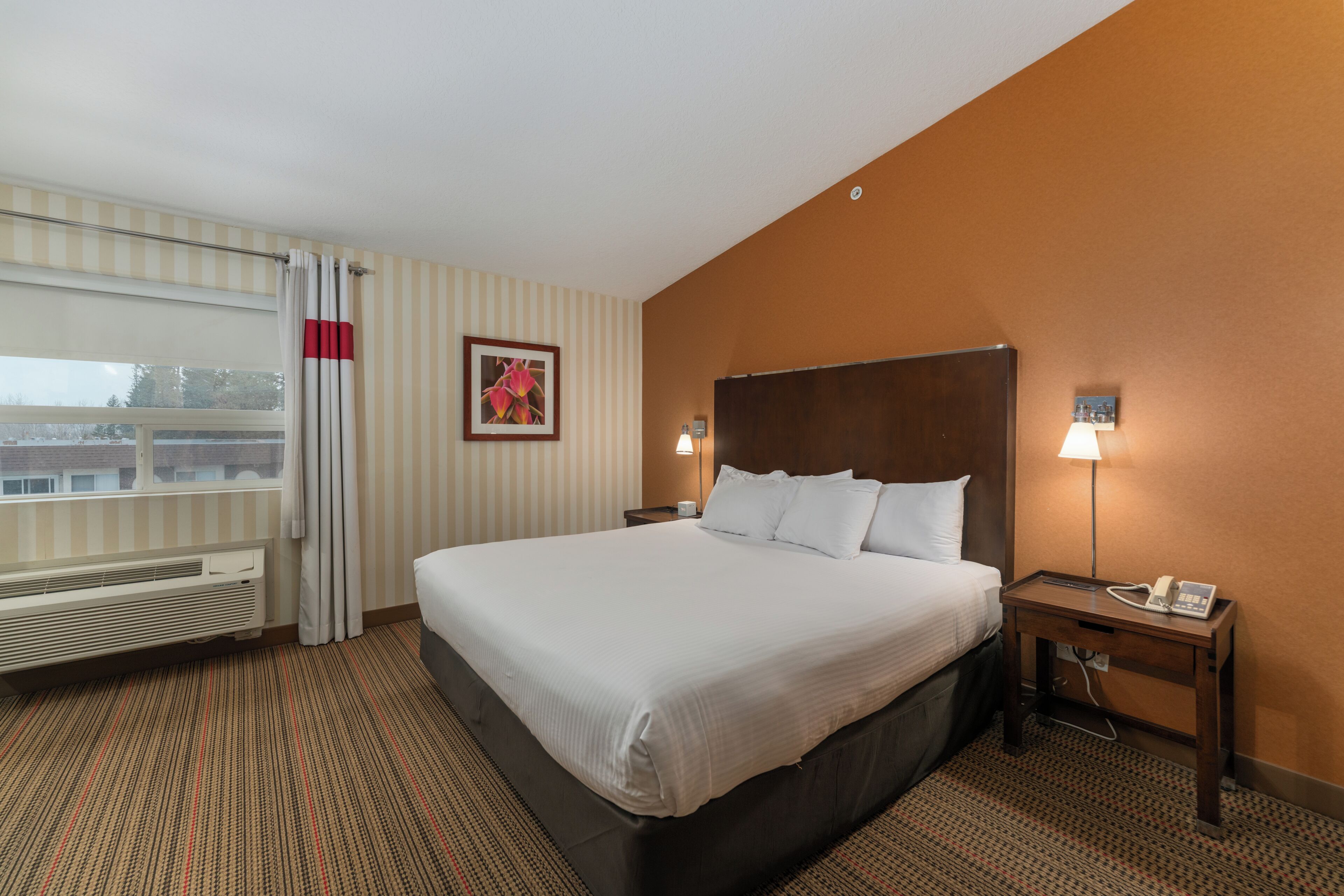 A hotel room with a large bed, a bedside table with a lamp, a window with curtains, and a radiator.