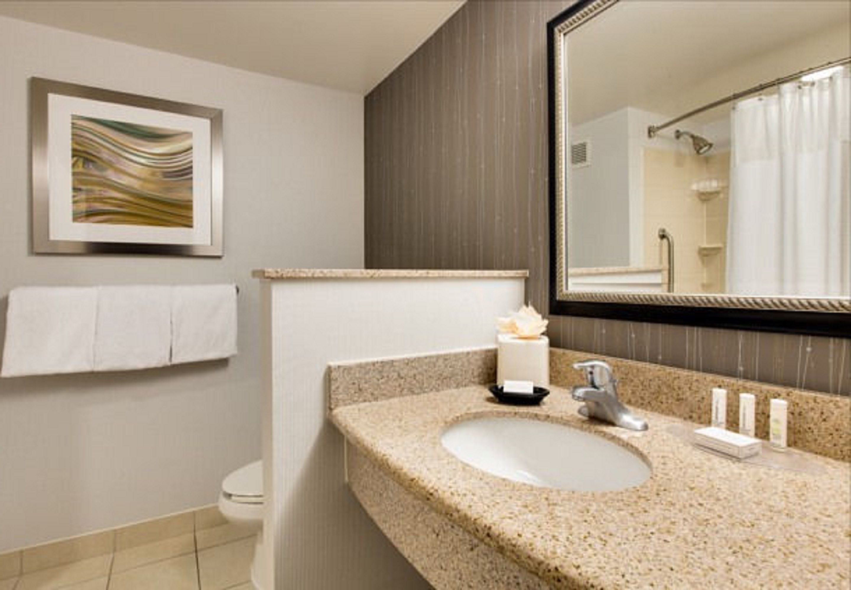 combined shower/bathtub, free toiletries, hair dryer, towels