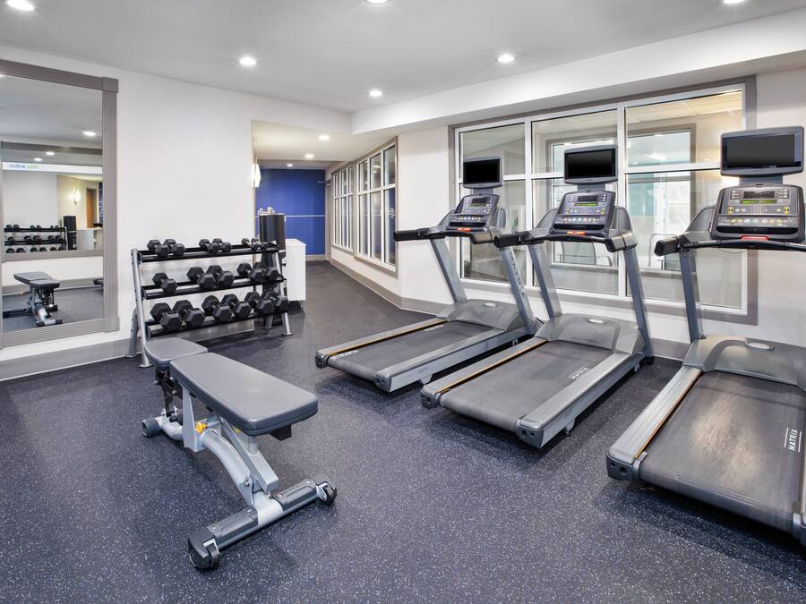 A gym with treadmills, dumbbells, and a bench.