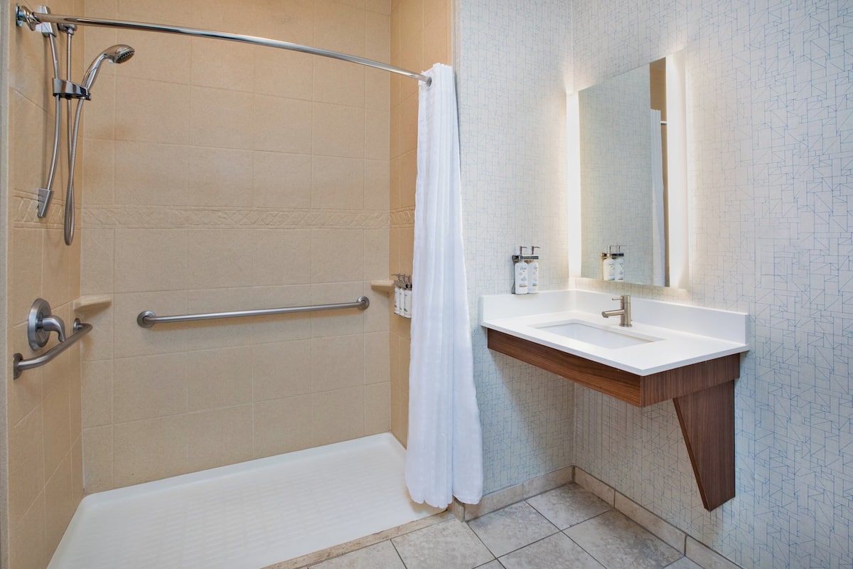 combined shower/bathtub, free toiletries, hair dryer, towels