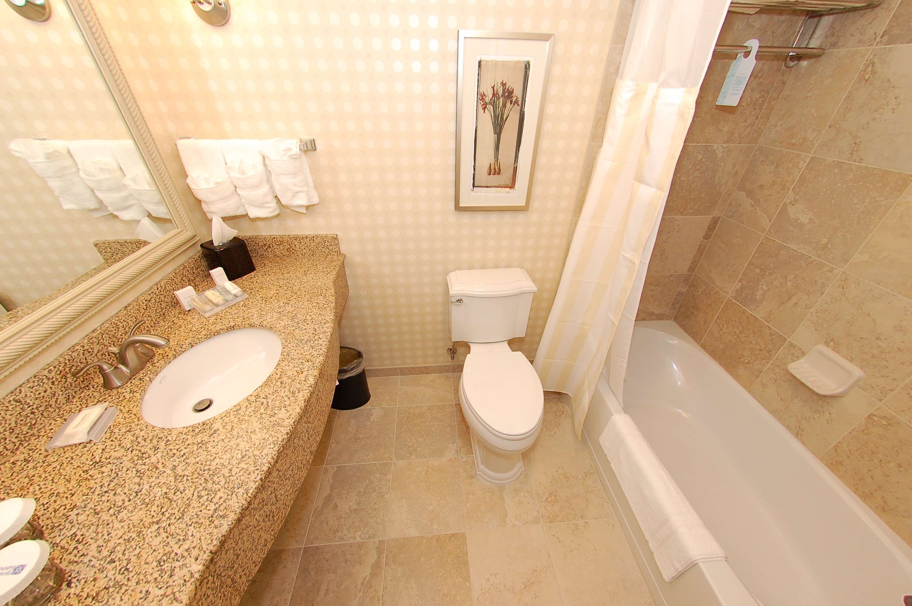 combined shower/bathtub, free toiletries, hair dryer, towels