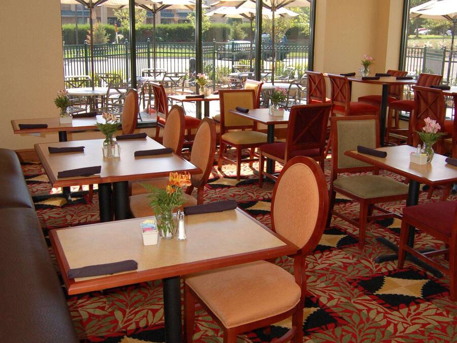 A restaurant with tables and chairs, a patterned carpet, and large windows with umbrellas outside.