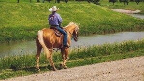 A person riding a horse along a path with a cityscape in the background. - Holiday Inn Express & Suites Fort Worth - Fossil Creek by IHG (Fort Worth)