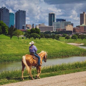 A person riding a horse along a path with a cityscape in the background. - Holiday Inn Express & Suites Fort Worth - Fossil Creek by IHG (Fort Worth)