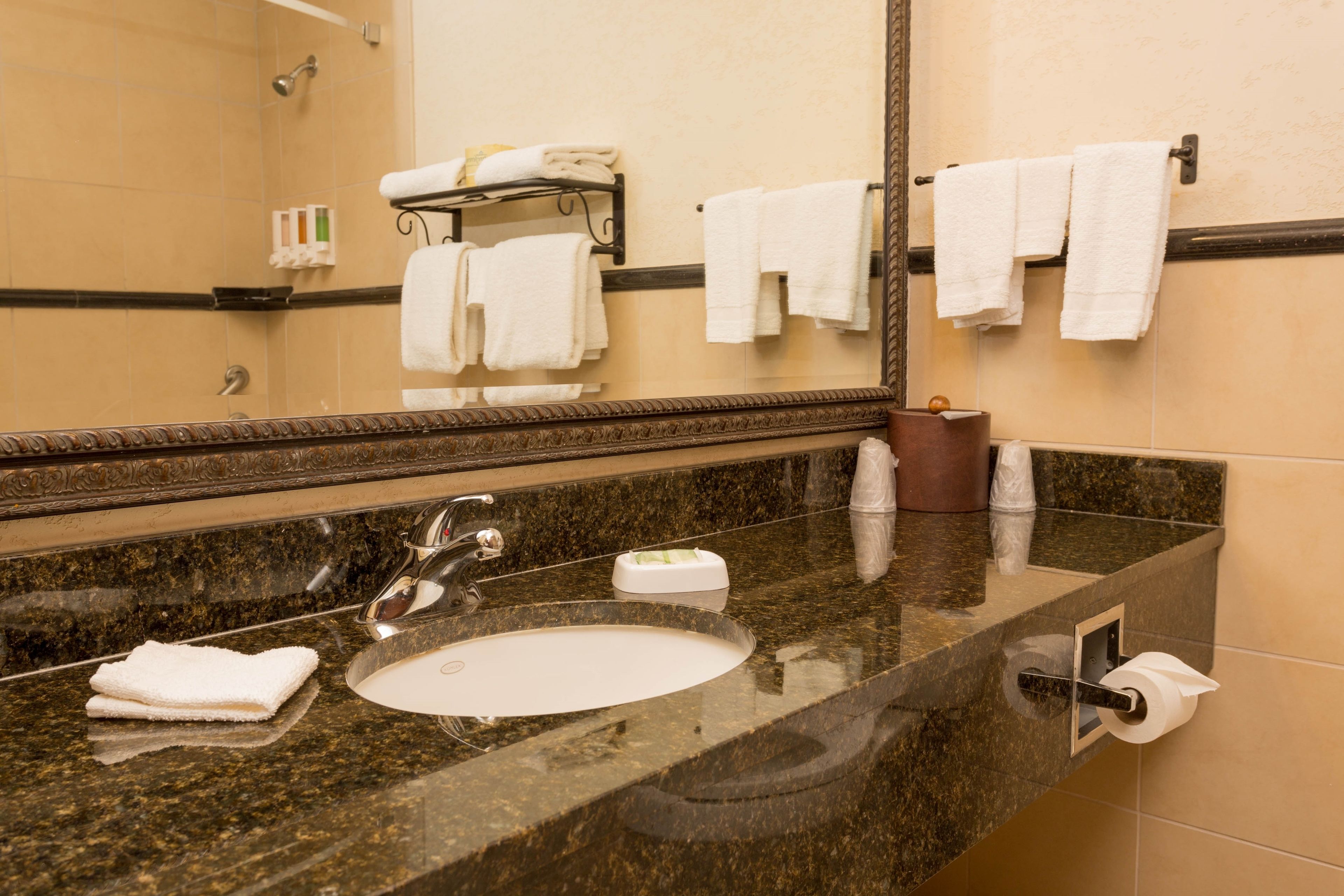 combined shower/bathtub, free toiletries, hair dryer, towels