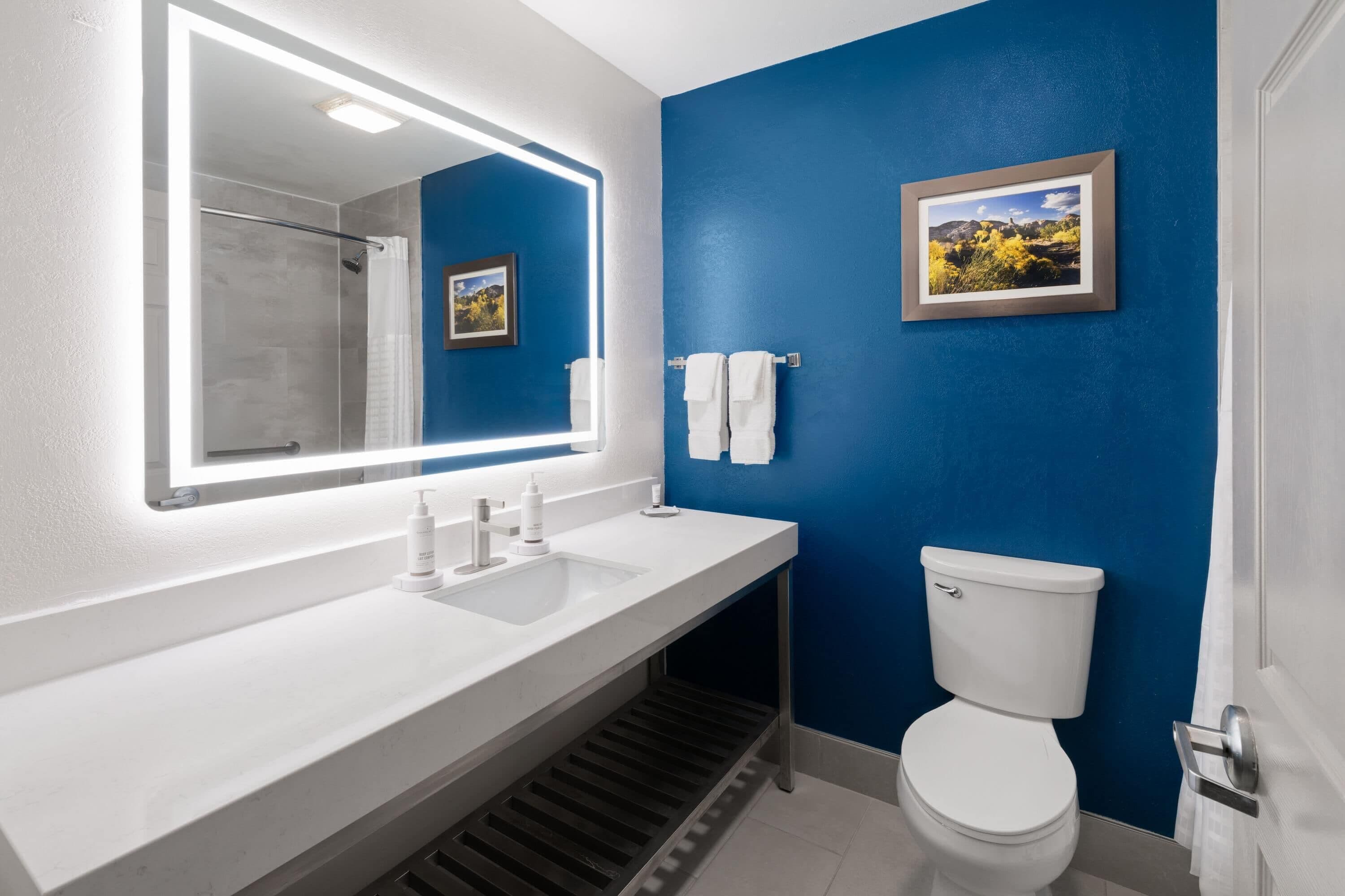 A bathroom with a white sink, a mirror, a toilet, and a shower.