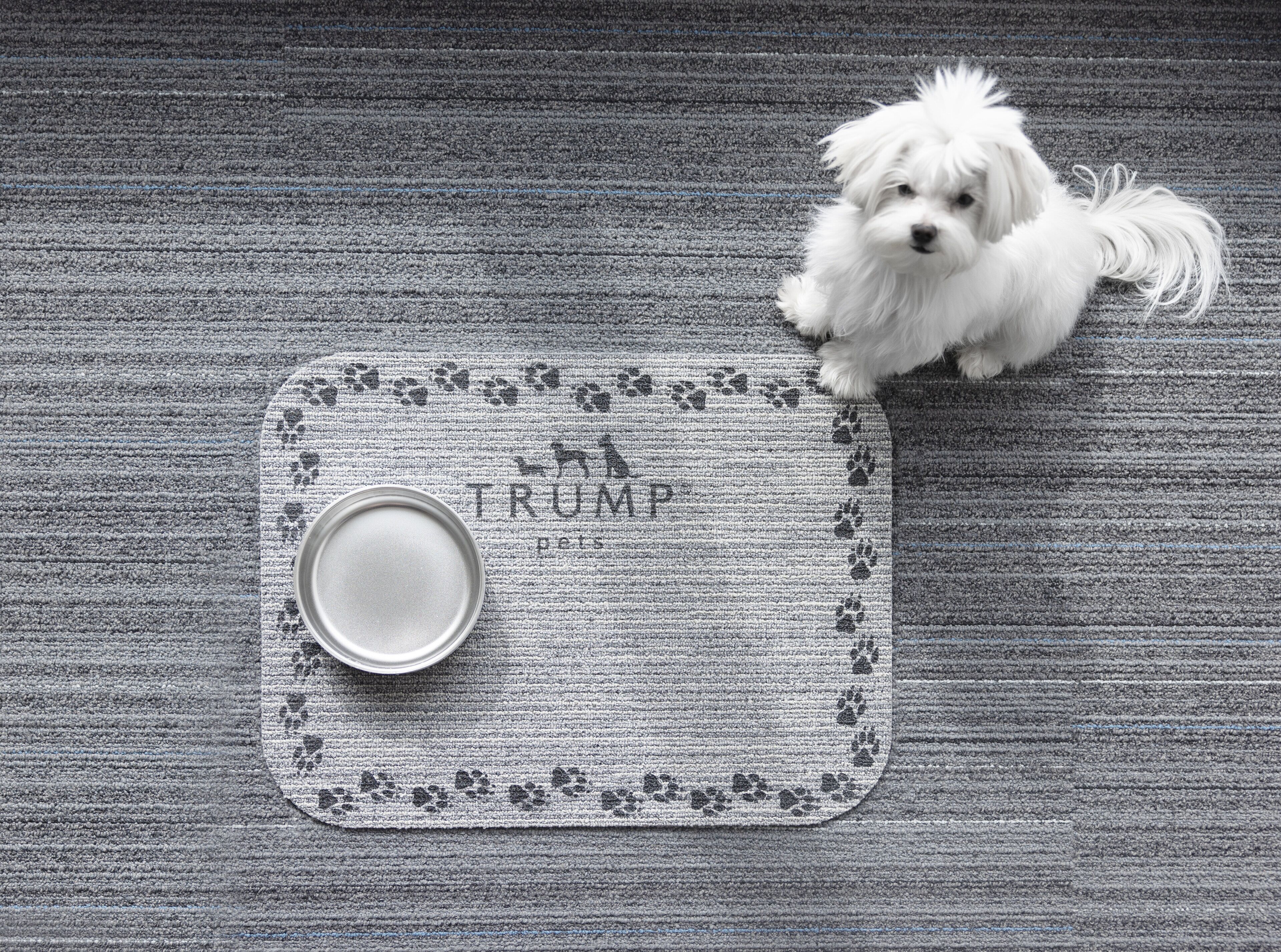 Een klein wit hondje op een grijs tapijt met een mat waarop pootafdrukken en de tekst 'TRUMP' staat.