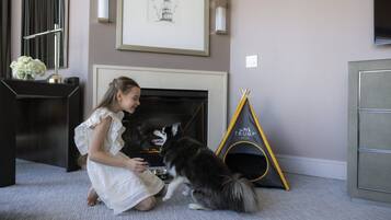 Una habitación con chimenea, un cuadro en la pared, un perro y un niño.