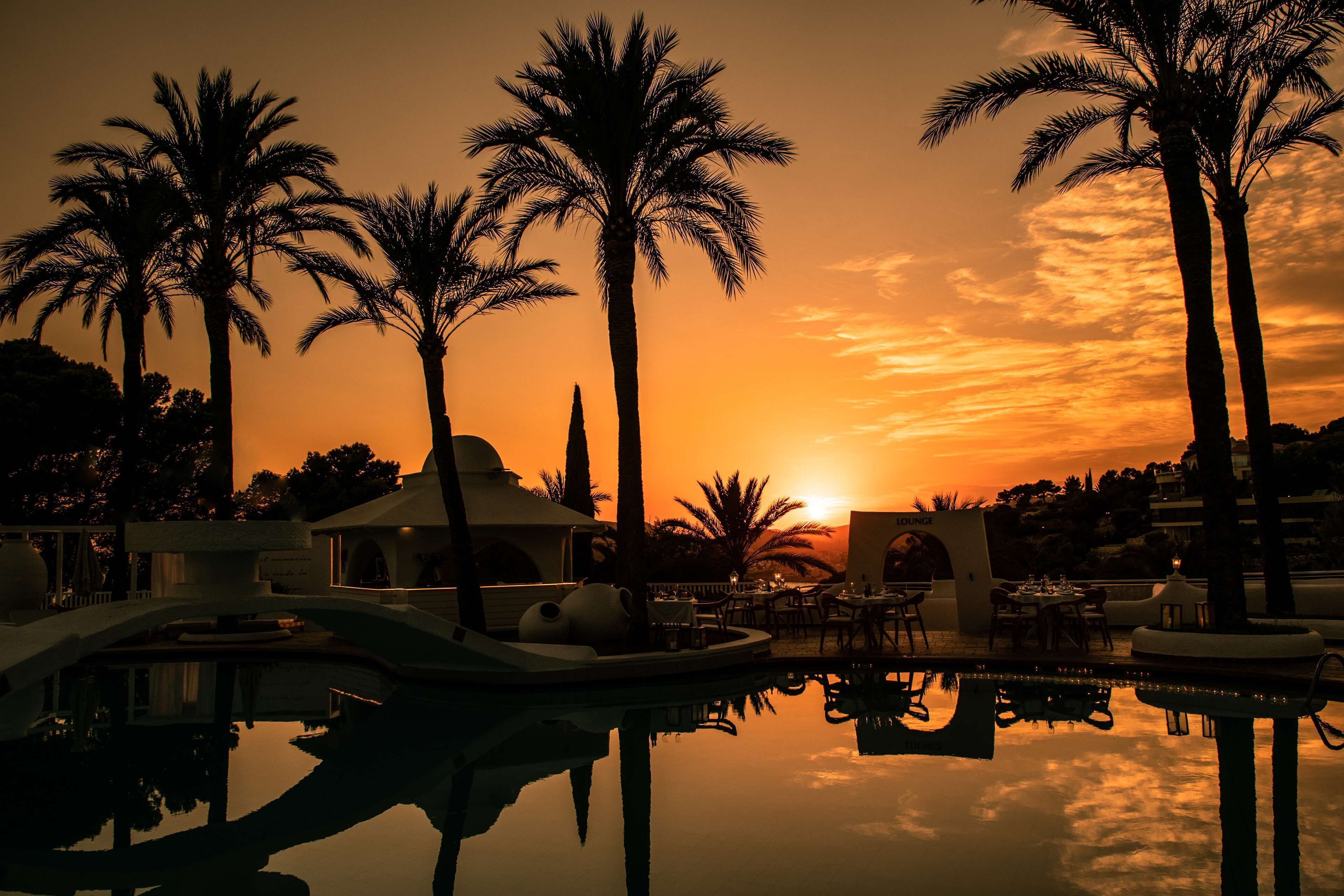 A resort pool area with palm trees and a sunset in the background.