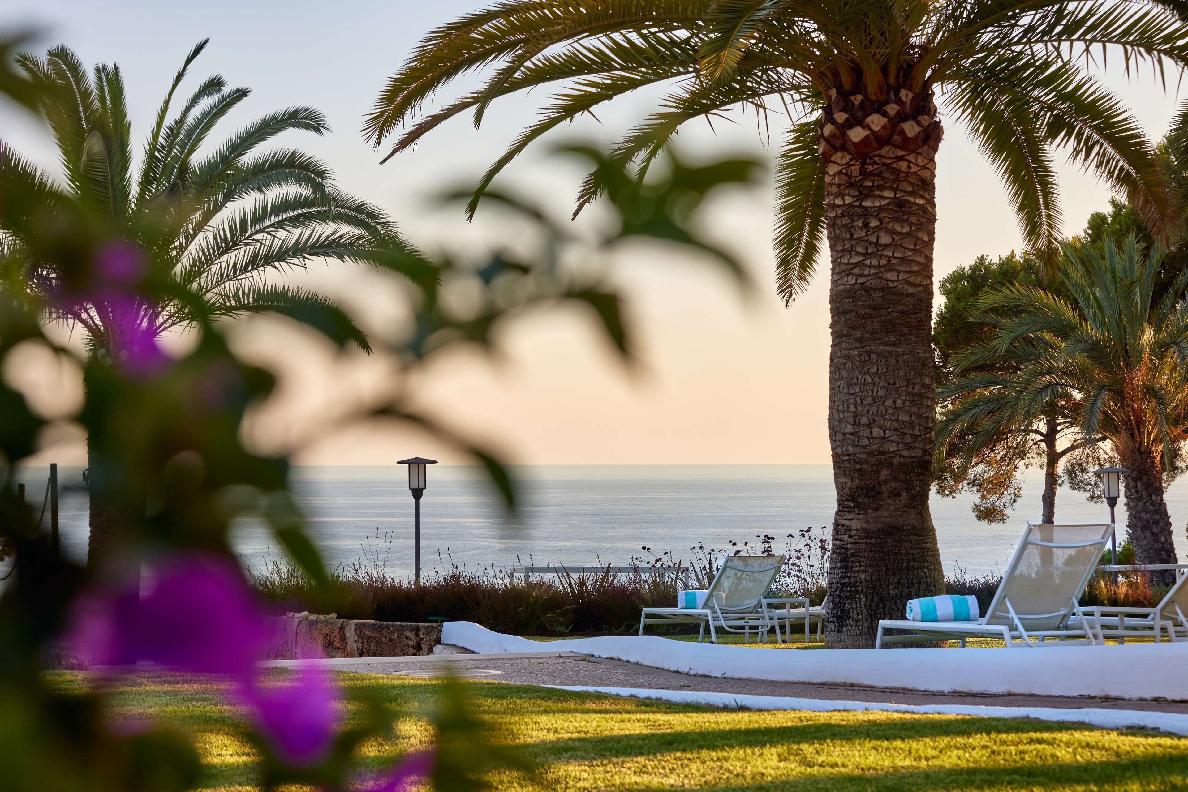 Un espace de détente aménagé au bord de la plage, avec des palmiers, une vue sur la mer et des chaises longues.