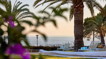 A beachside lounge area with palm trees, a view of the sea, and lounge chairs.