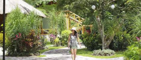 A pathway in a lush garden with a thatched-roof structure and a wooden pergola.