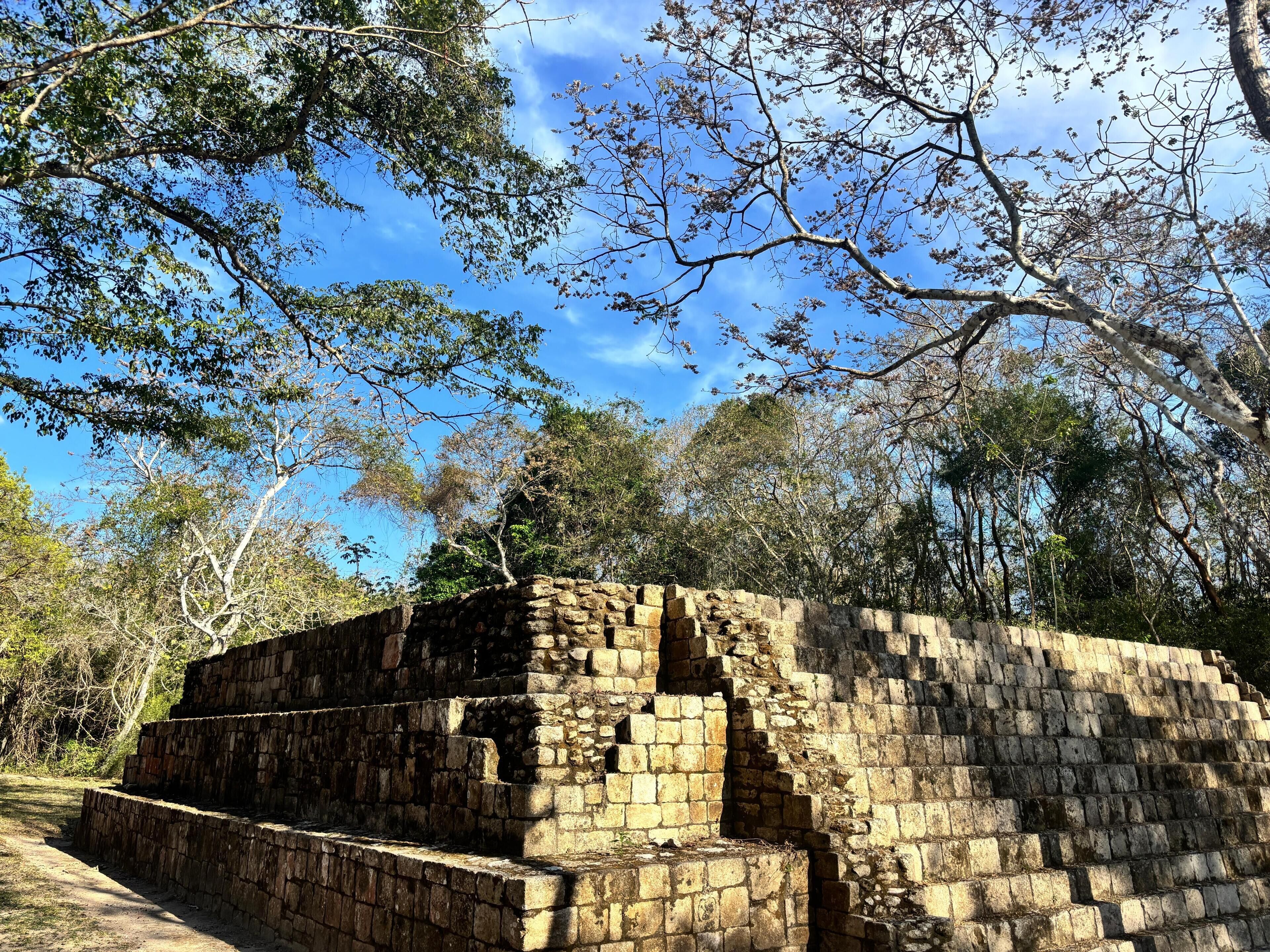 A stone structure with a staircase leading up to a flat roof, surrounded by trees and a clear sky.