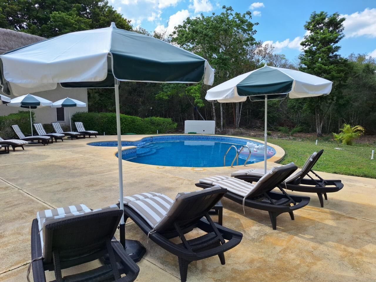 A swimming pool with lounge chairs and umbrellas.
