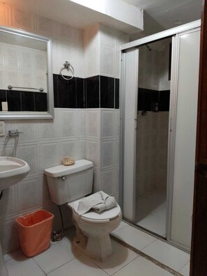 Shower, rainfall showerhead, free toiletries, towels - Hotel Posada Tolosa (Zacatecas)