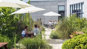 An outdoor seating area with tables and chairs under umbrellas, surrounded by greenery and a building with large windows. - City North Hotel and Conference Centre (Gormanston)
