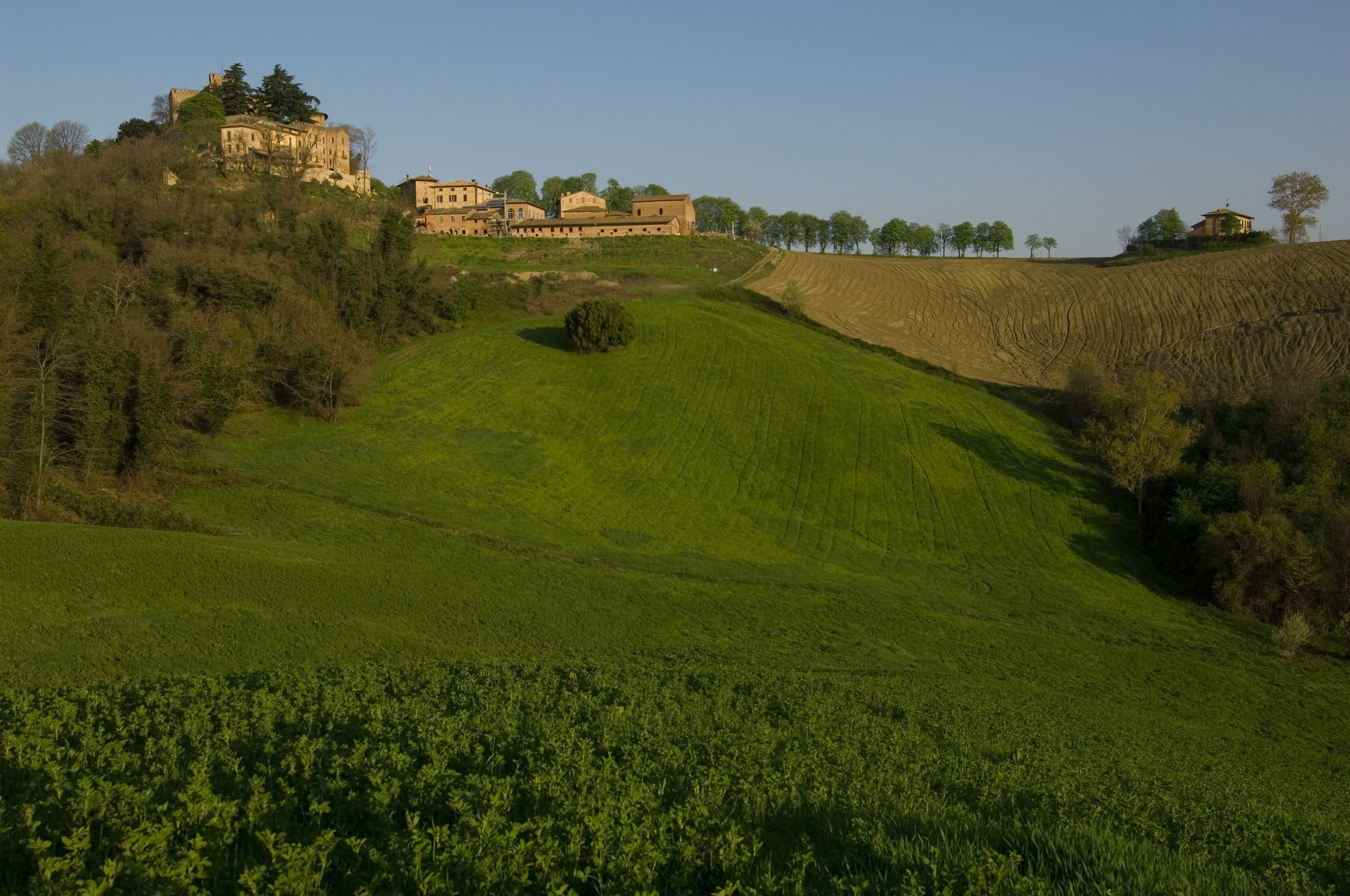 A castle on a hill with a green field in the foreground.