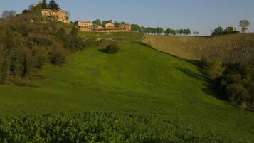 A castle on a hill with a green field in the foreground.