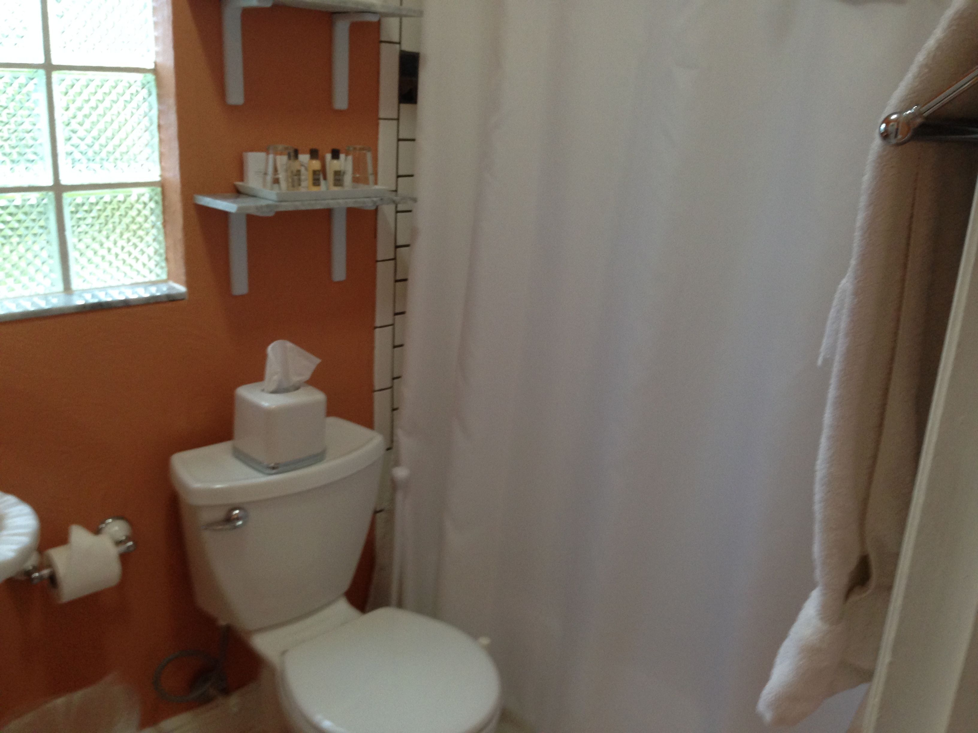 A bathroom with a toilet, a shelf with toiletries, and a window with a view.