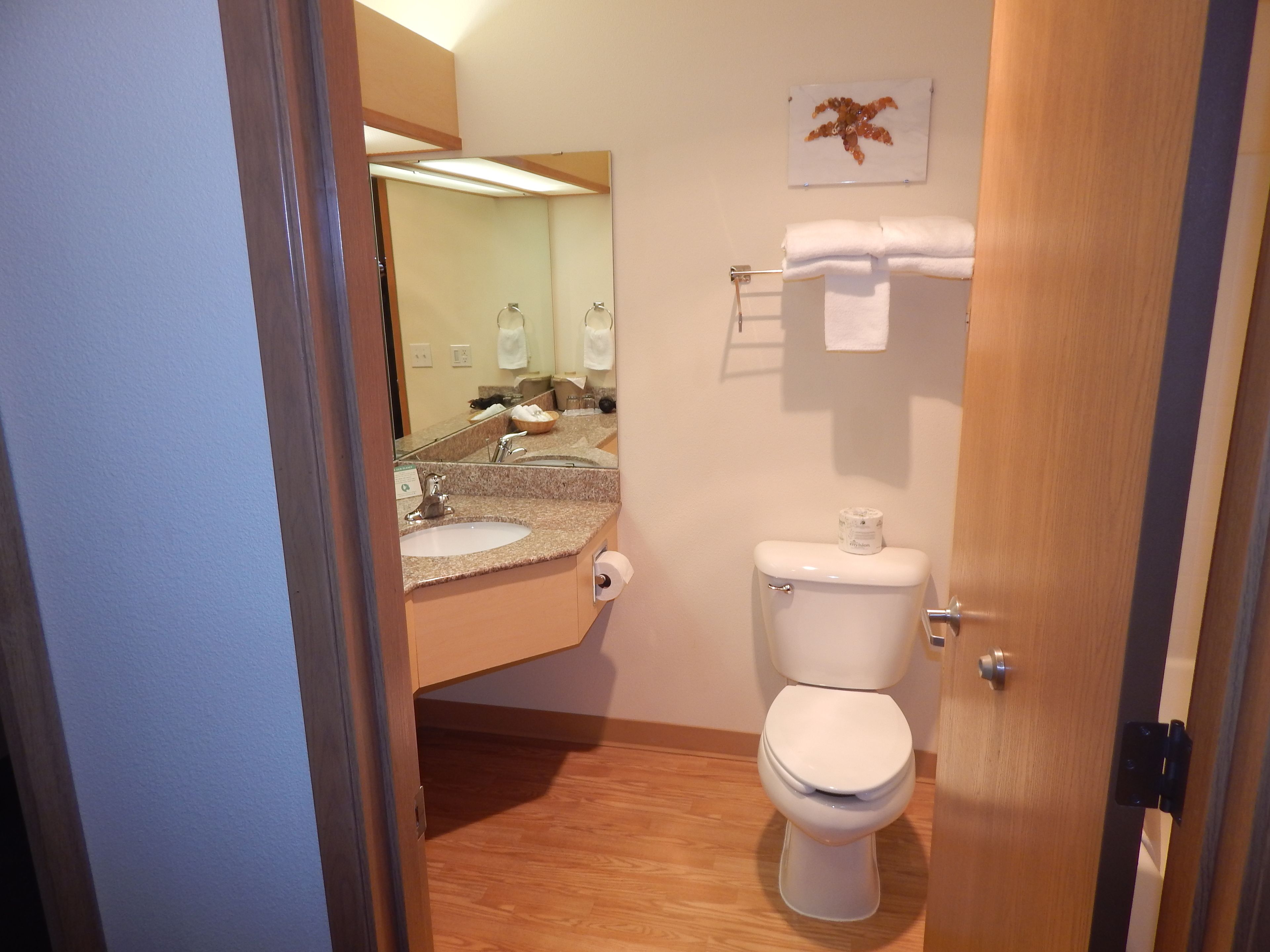 combined shower/bathtub, free toiletries, hair dryer, towels