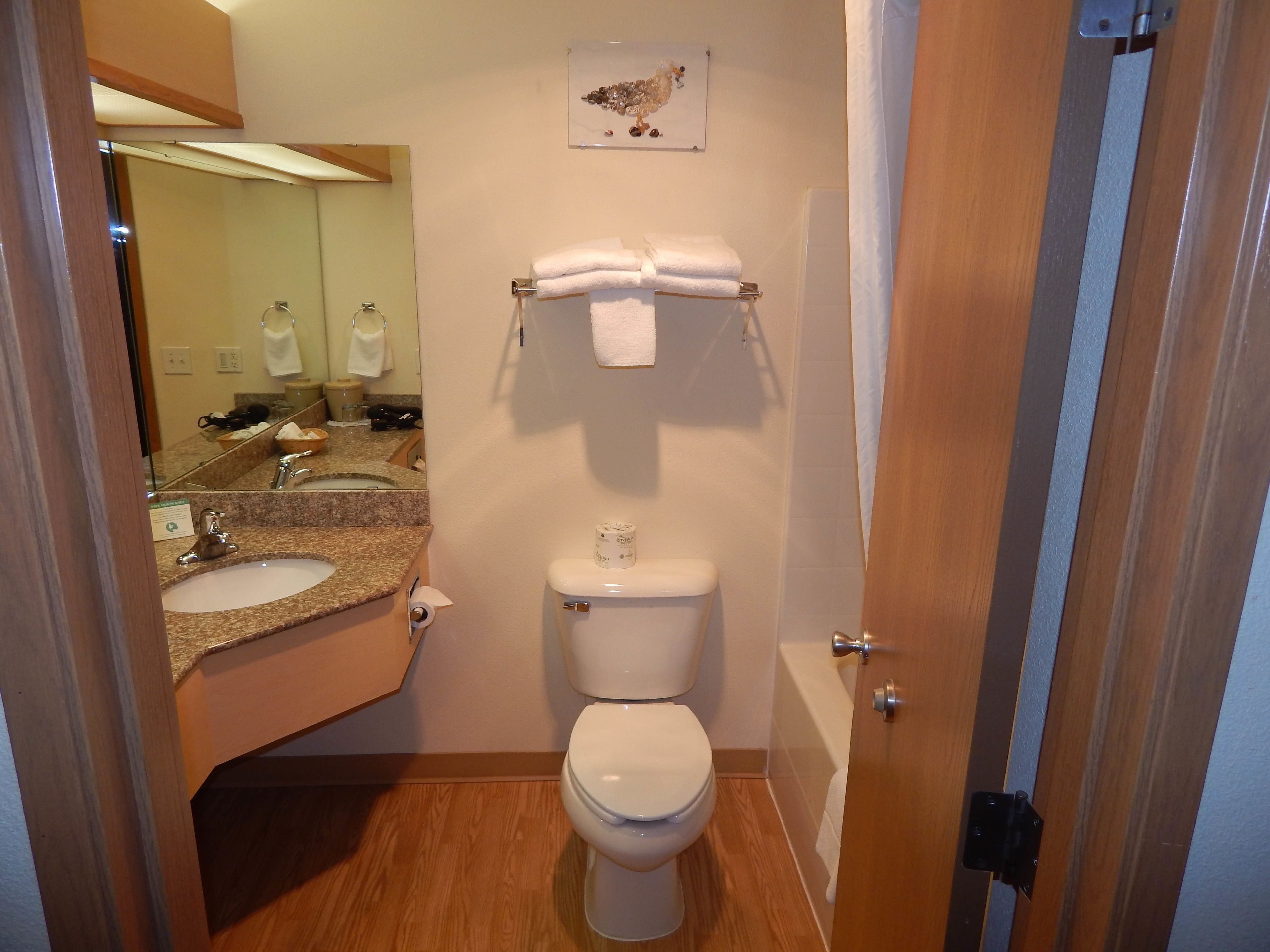 combined shower/bathtub, free toiletries, hair dryer, towels