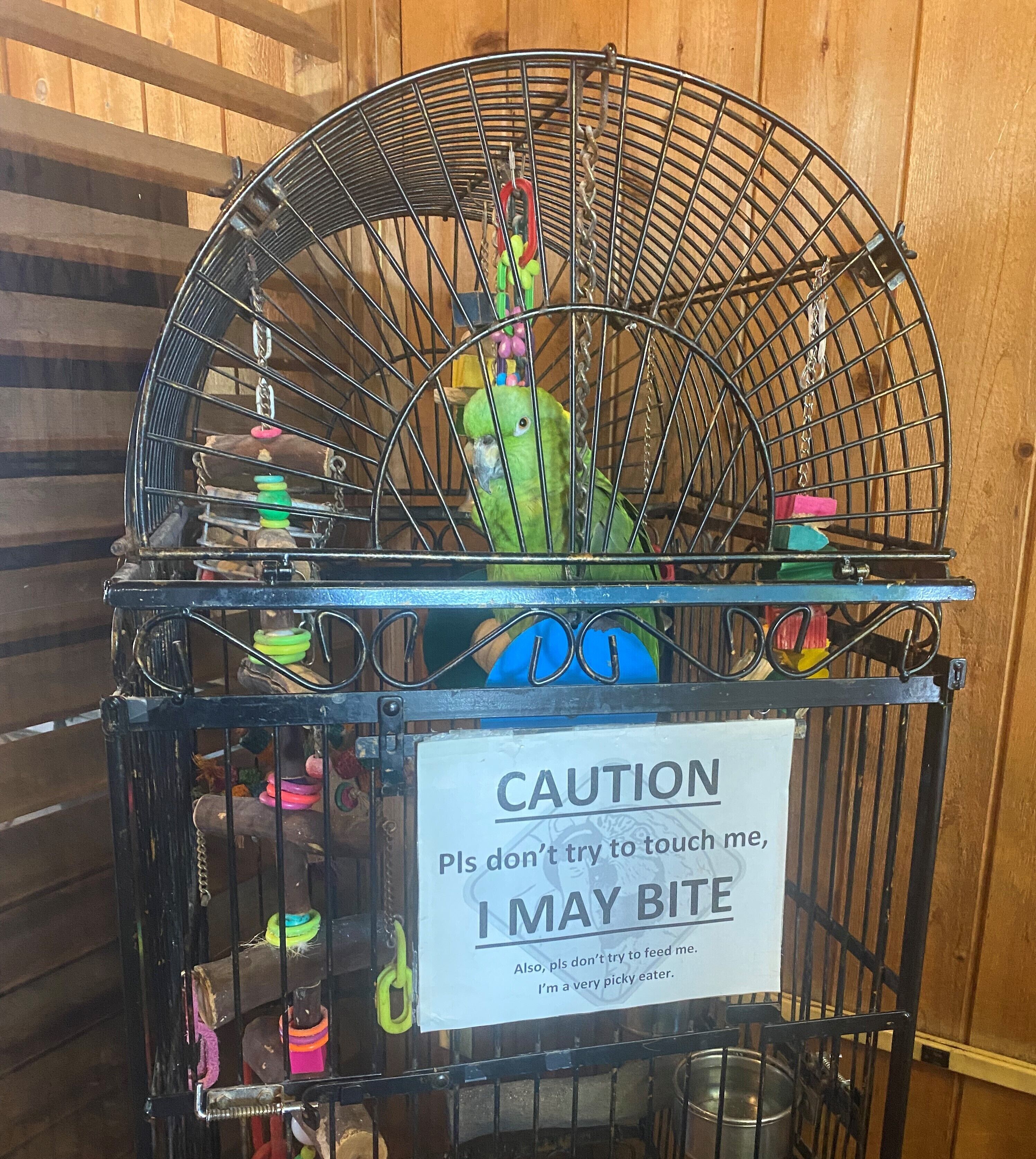 Foto - Village Inn Destin