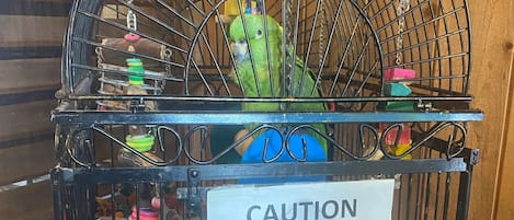 Una jaula de pájaros con un letrero de precaución que advierte no tocar ni alimentar al ave.