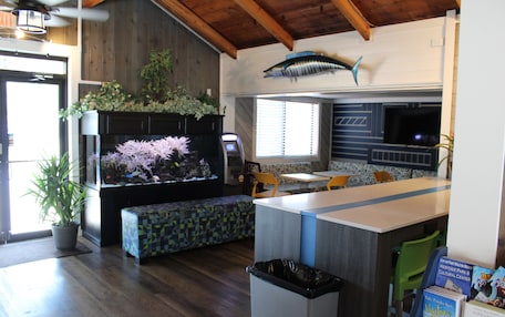 A restaurant with wooden beams, a fish decoration, a large aquarium, and a green chair.