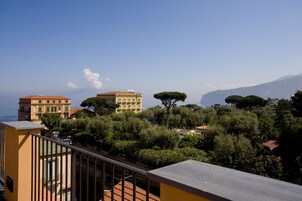 Vista desde la habitación