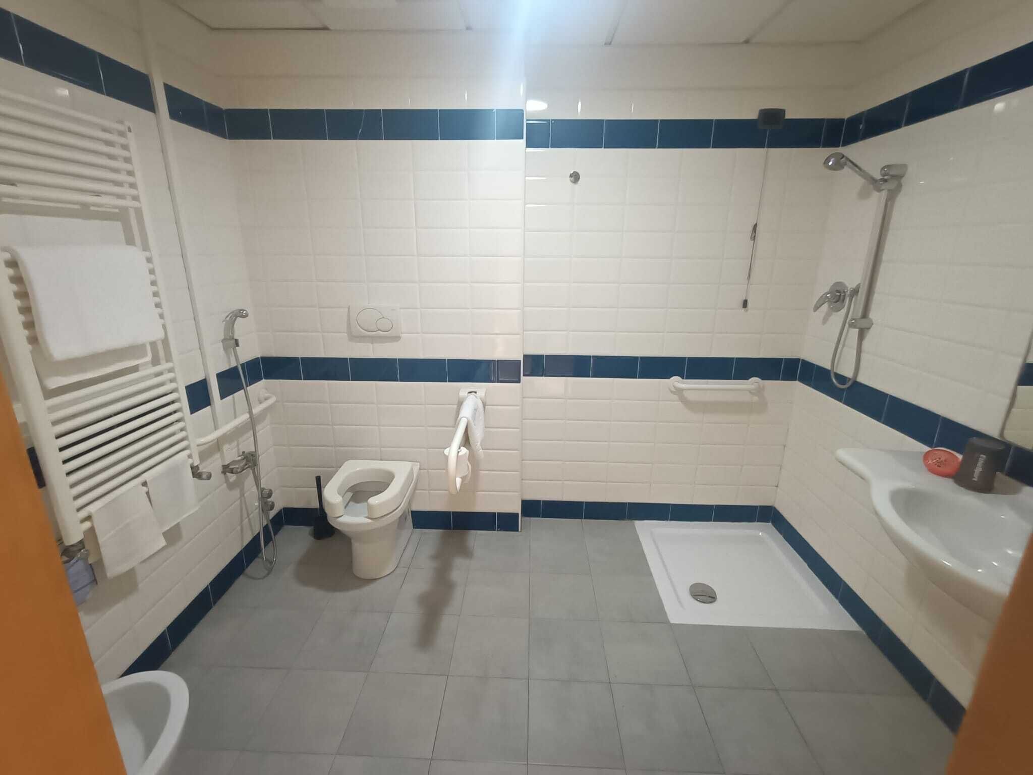 Chambre, 1 lit double ou 2 lits jumeaux | Salle de bain