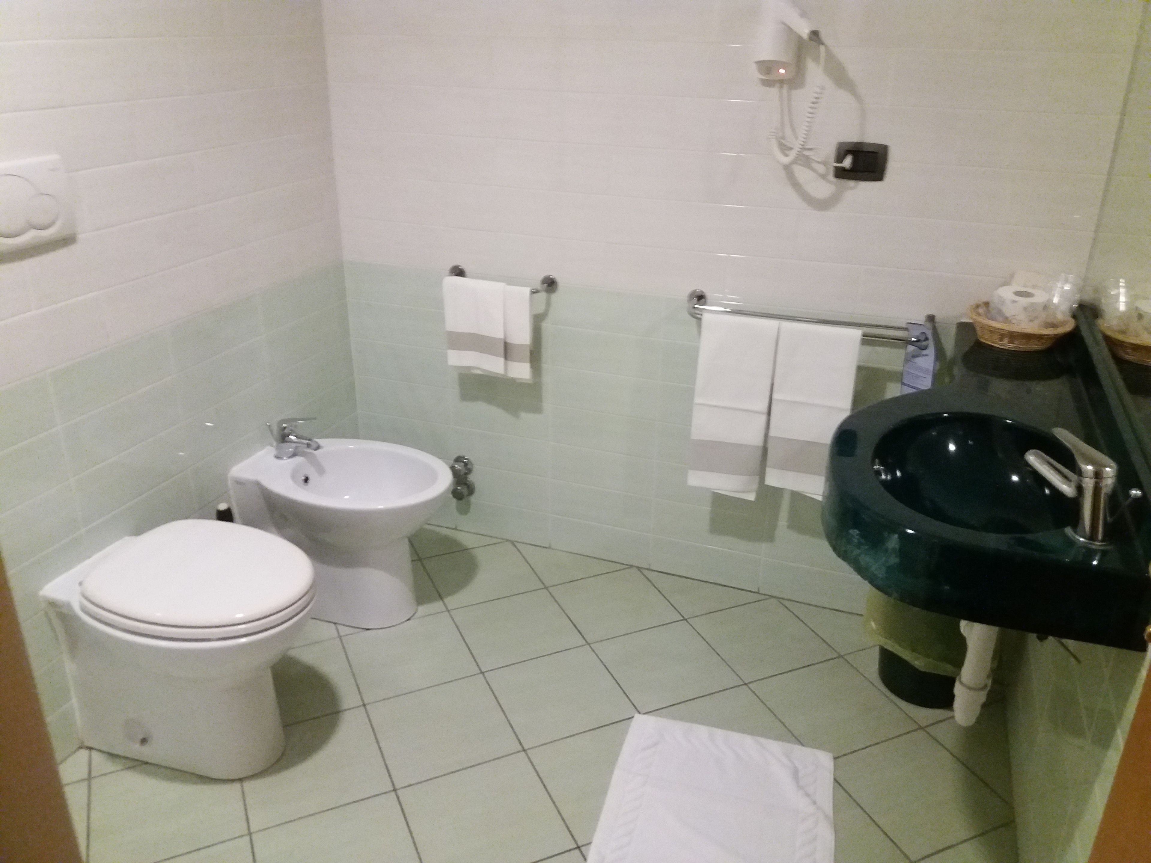 free toiletries, hair dryer, bidet, towels