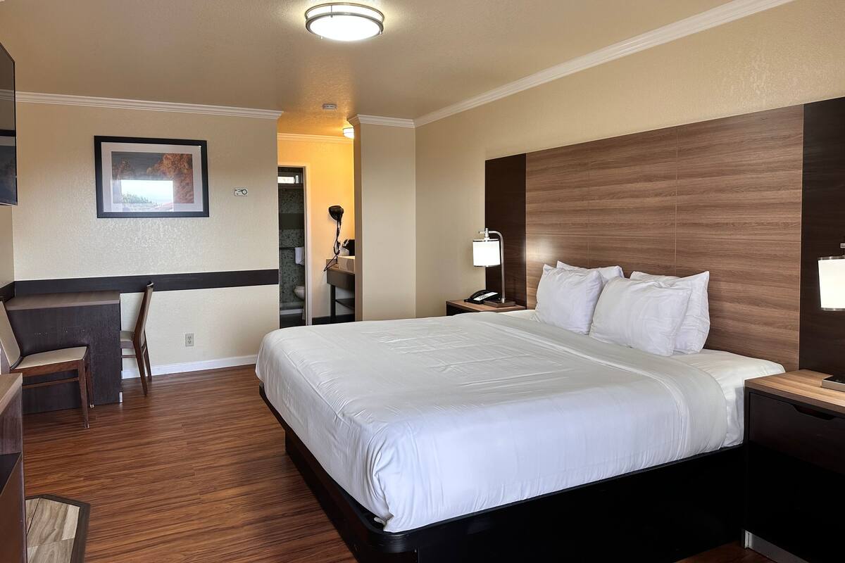 A hotel room with a large bed, a desk, a chair, a nightstand, and a lamp.