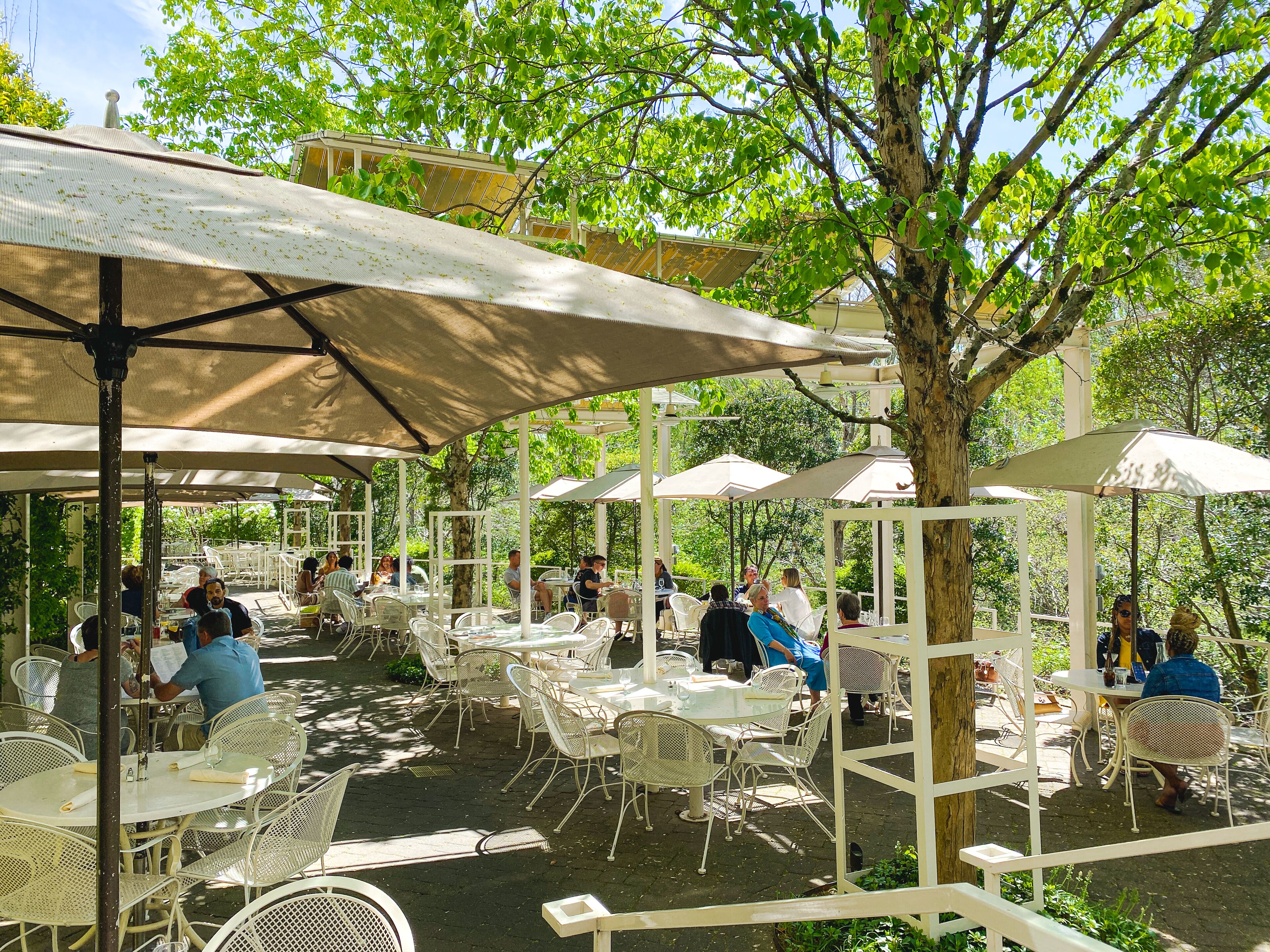 breakfast, lunch, dinner served; modern european cuisine, garden views