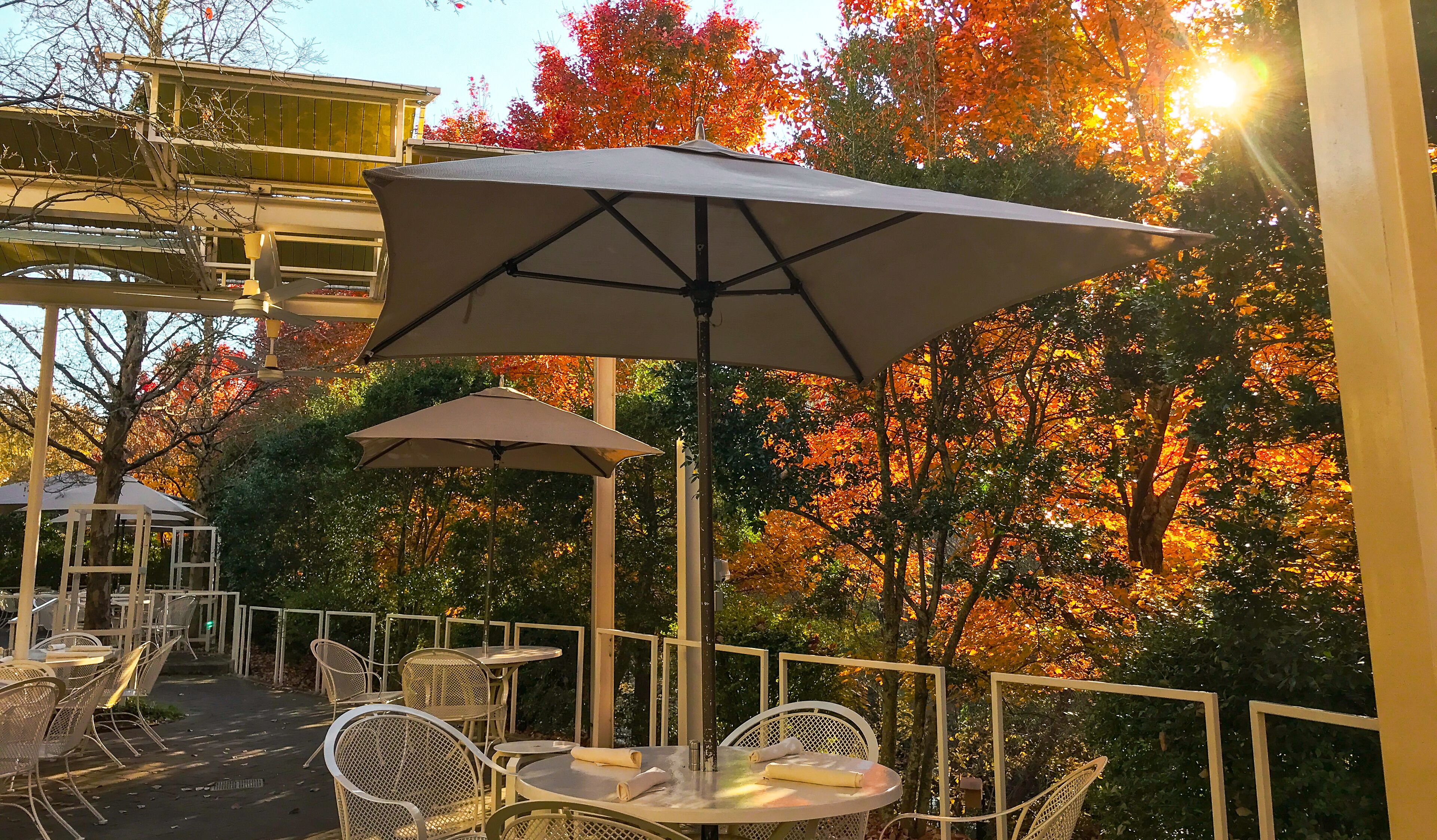 An outdoor seating area with tables and chairs, surrounded by trees with autumn foliage.