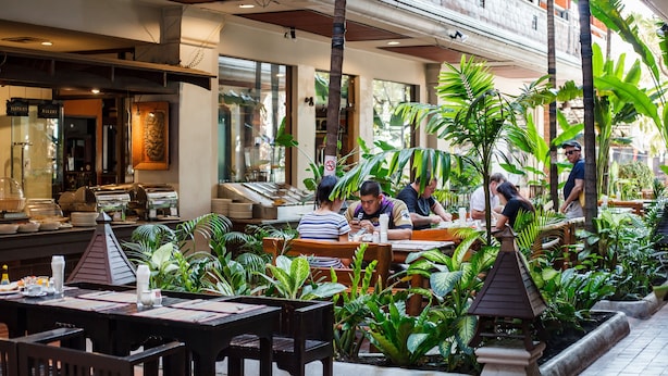 An indoor restaurant with multiple dining tables and chairs, surrounded by lush green plants and a high ceiling with exposed beams.