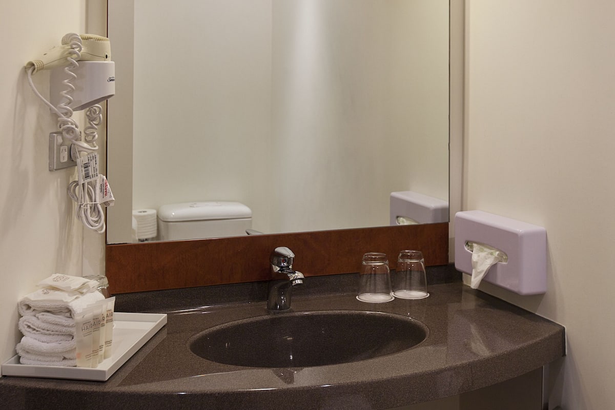 shower, eco-friendly toiletries, hair dryer, towels