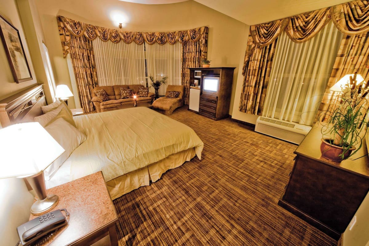 Une chambre d’hôtel avec un grand lit, un canapé, un bureau avec une lampe, une télévision et une plante en pot.
