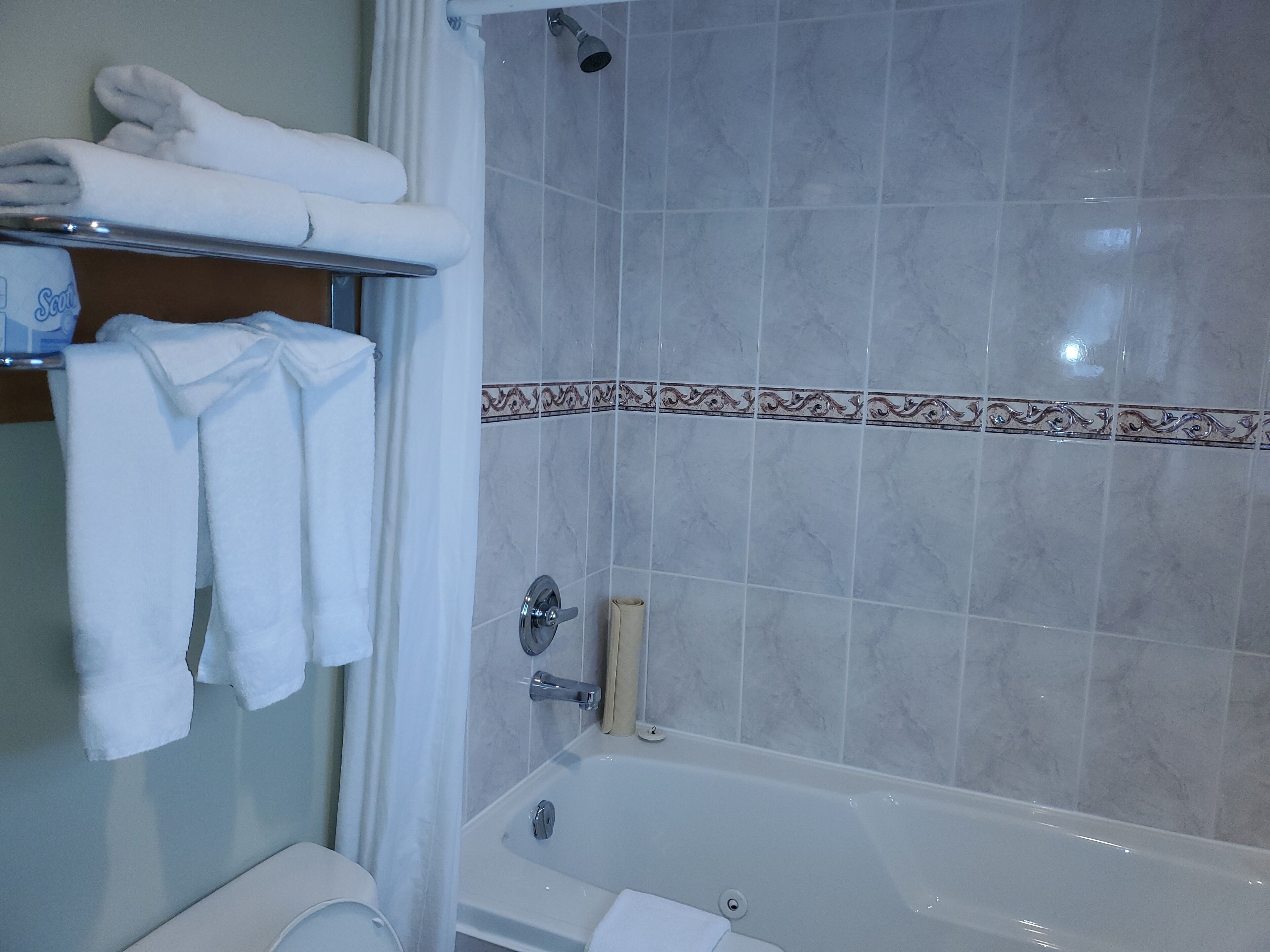 A bathroom with a bathtub, a shower, and a toilet. There are towels hanging on a rack.