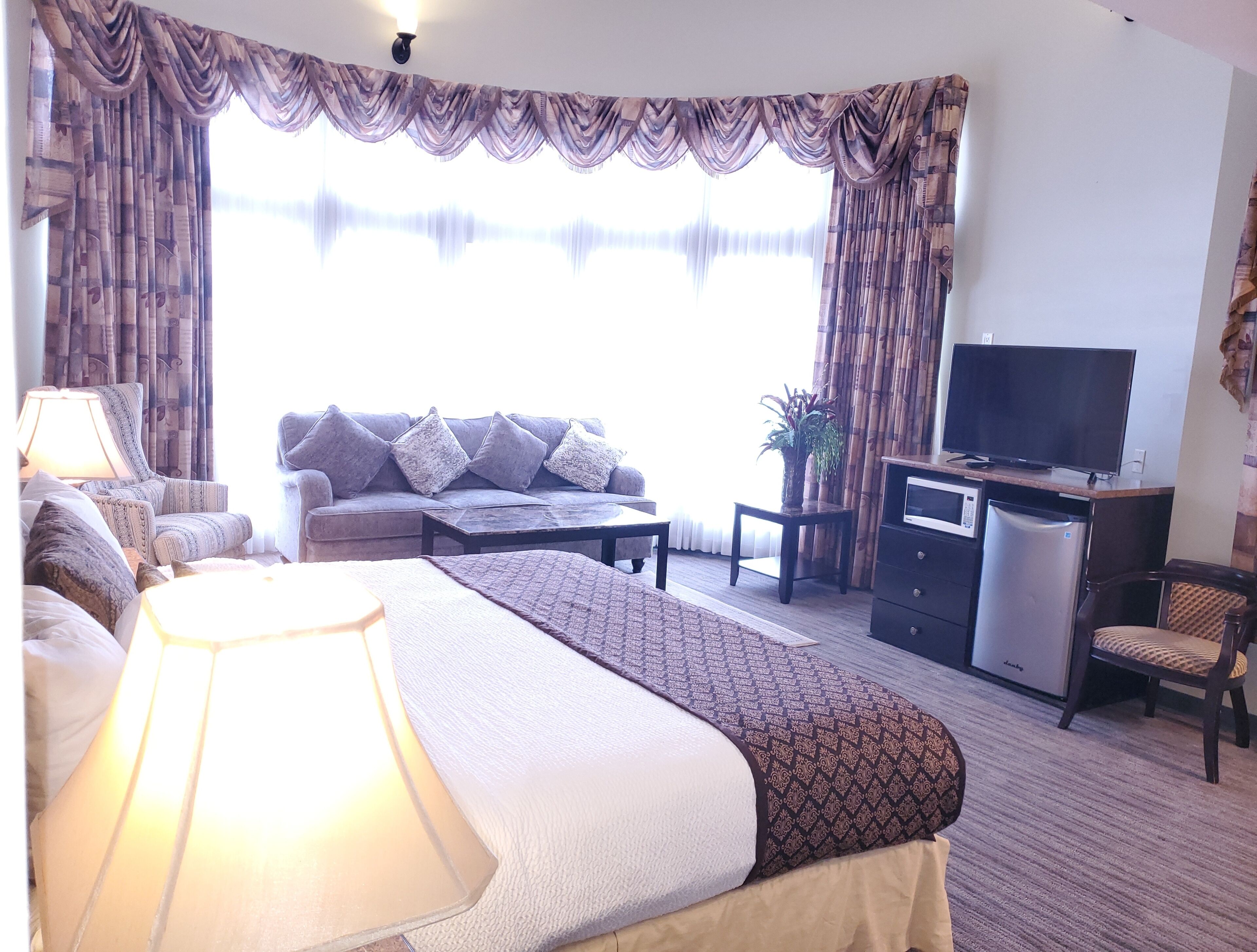 A hotel room with a bed, a sofa, a TV, a desk, and a plant.