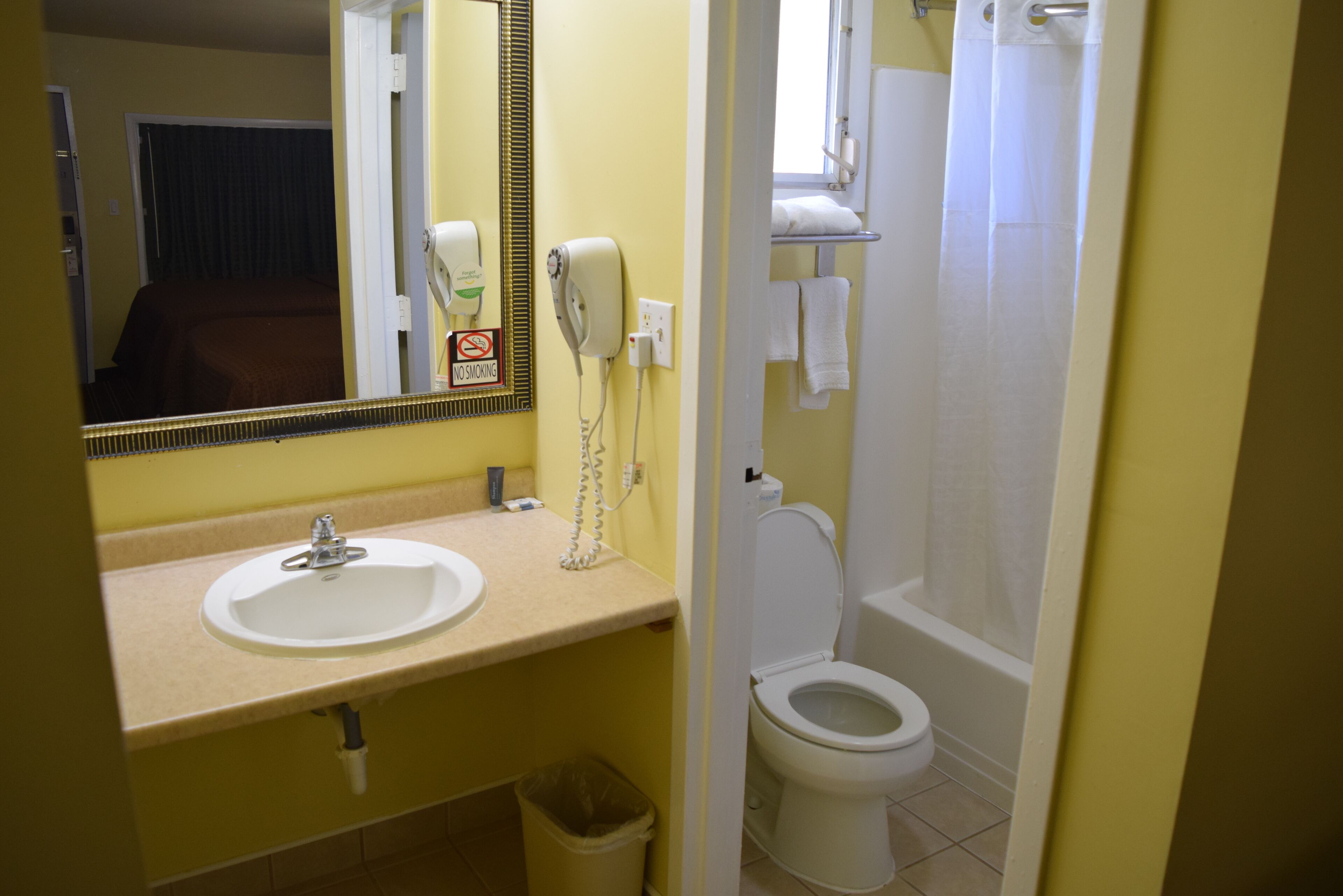 A bathroom with a sink, mirror, hairdryer, and toilet.