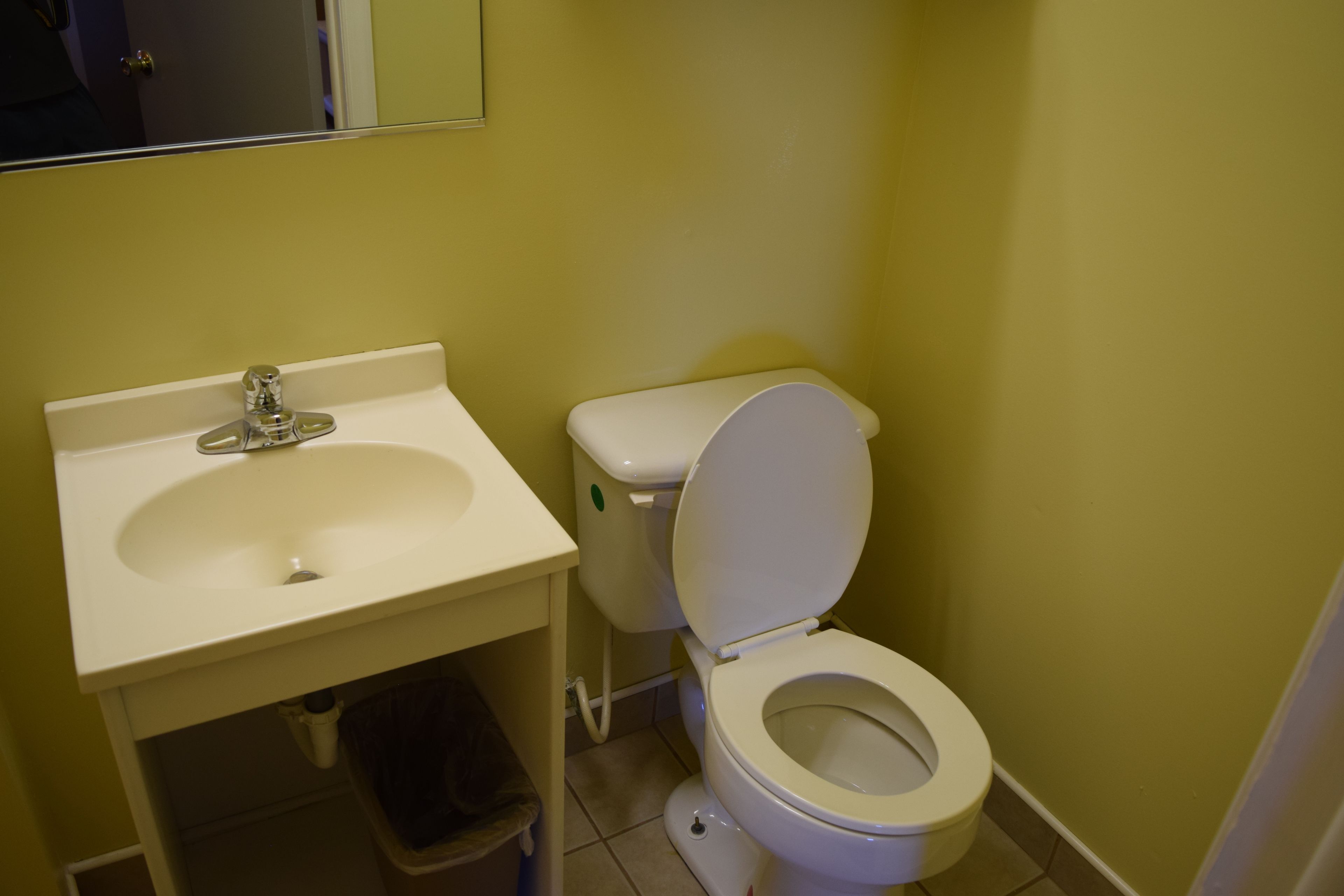 A small bathroom with a white sink, toilet, and a mirror above the sink.