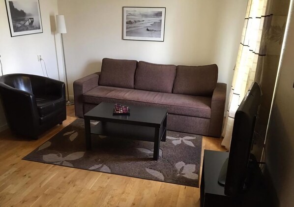 26-inch flat-screen TV with cable channels, TV