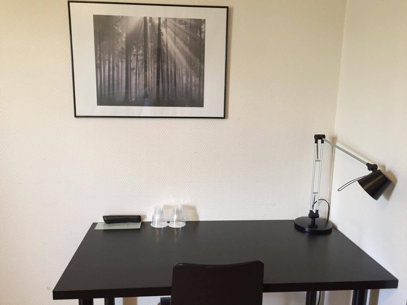 Pillowtop beds, individually decorated, individually furnished, desk