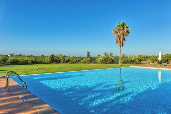 Outdoor pool, pool umbrellas, sun loungers